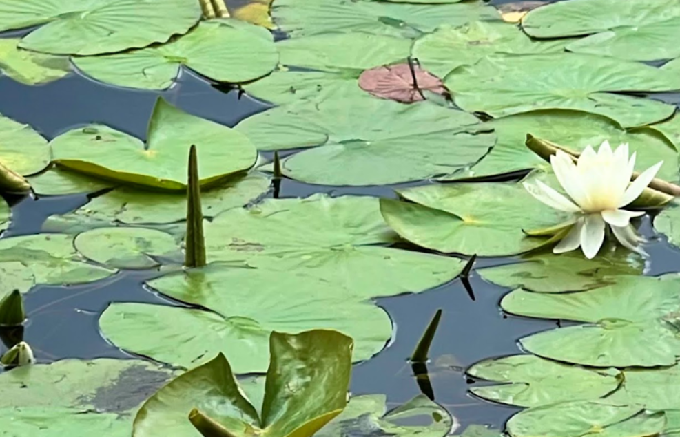 Relationship as Practice